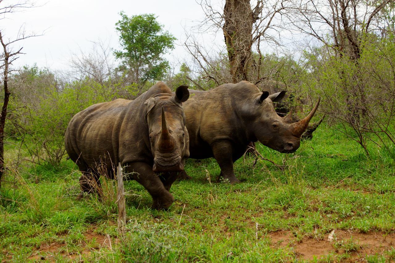 Marloth Park Hippo House Exterior foto